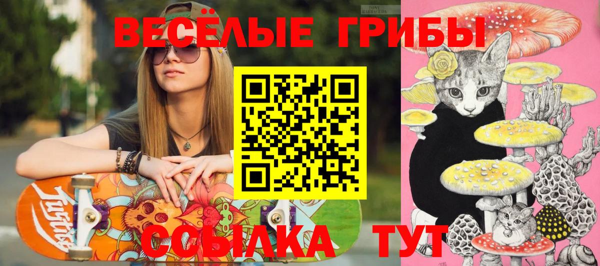 Псилоцибиновые грибы Cubensis  Вход с VPN  закладка  Вязьма 